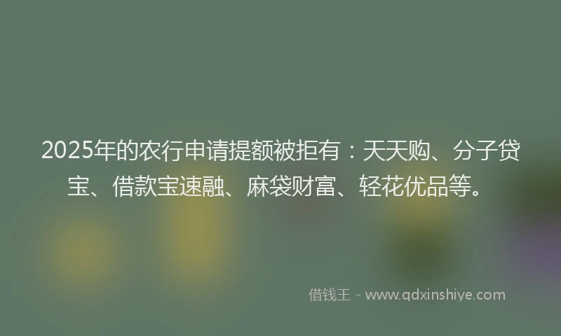 2025年的农行申请提额被拒有：天天购、分子贷宝、借款宝速融、麻袋财富、轻花优品等。