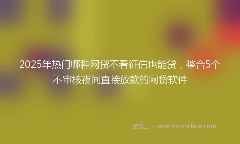 2025年热门哪种网贷不看征信也能贷，整合5个不审核夜间直接放款的网贷软件
