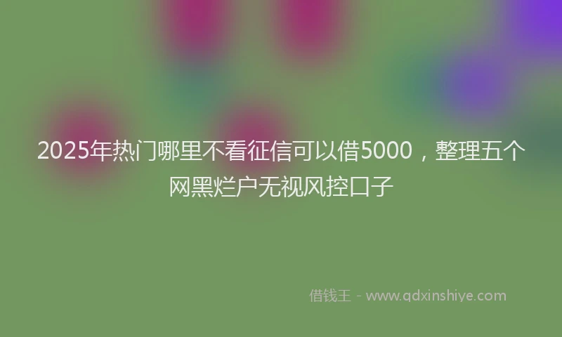 2025年热门哪里不看征信可以借5000，整理五个网黑烂户无视风控口子