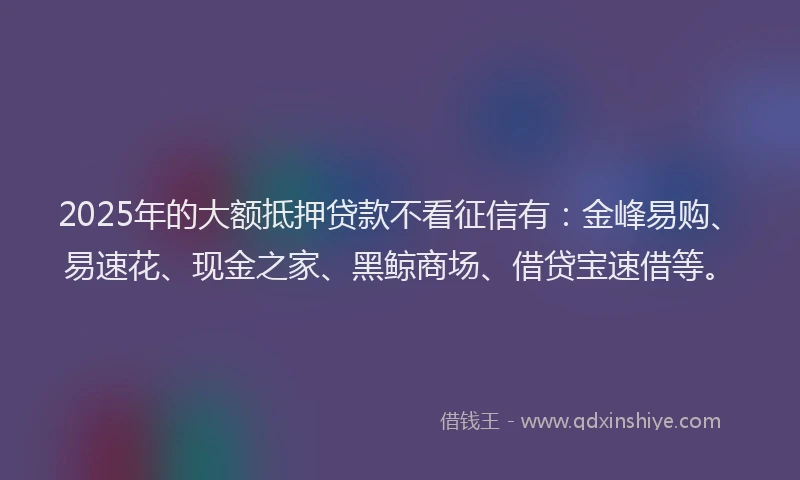 2025年的大额抵押贷款不看征信有：金峰易购、易速花、现金之家、黑鲸商场、借贷宝速借等。