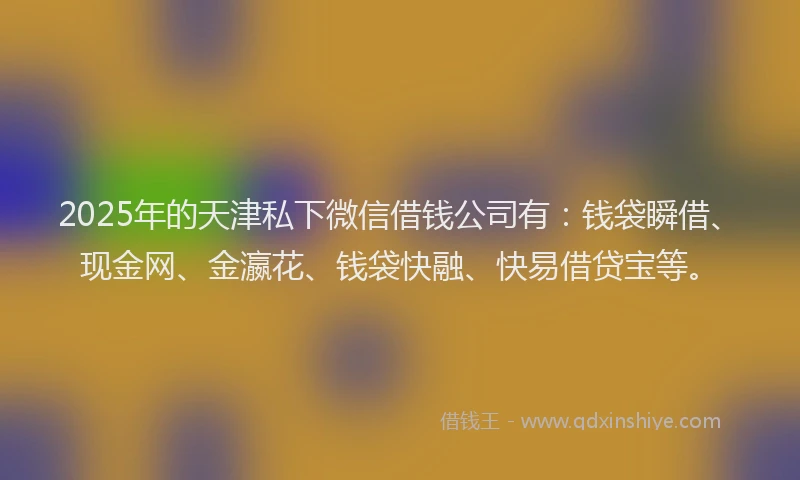 2025年的天津私下微信借钱公司有：钱袋瞬借、现金网、金瀛花、钱袋快融、快易借贷宝等。