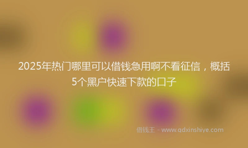 2025年热门哪里可以借钱急用啊不看征信，概括5个黑户快速下款的口子