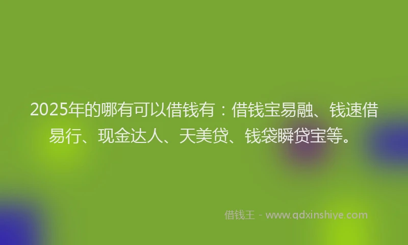 2025年的哪有可以借钱有：借钱宝易融、钱速借易行、现金达人、天美贷、钱袋瞬贷宝等。