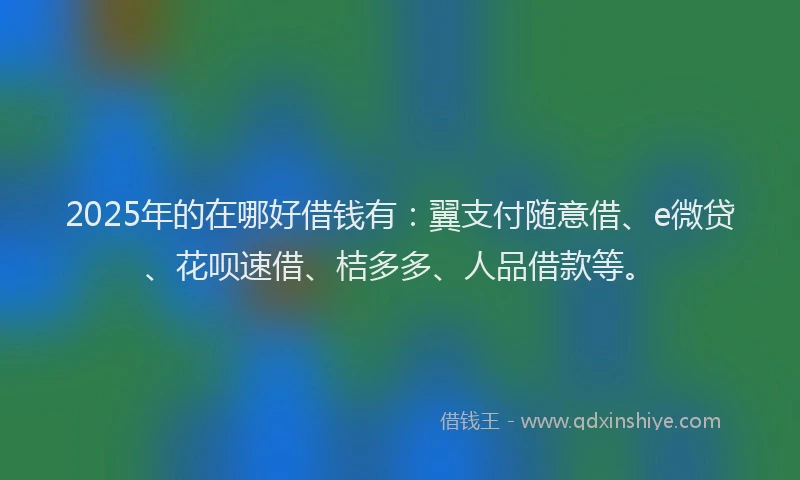 2025年的在哪好借钱有：翼支付随意借、e微贷、花呗速借、桔多多、人品借款等。