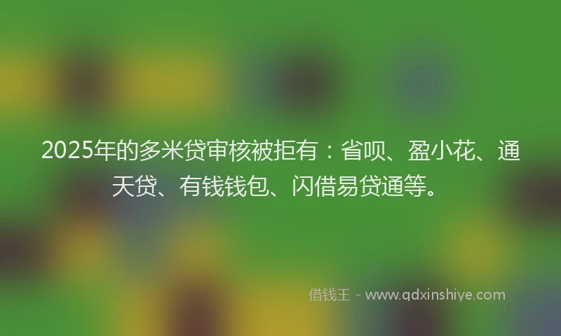 2025年的多米贷审核被拒有：省呗、盈小花、通天贷、有钱钱包、闪借易贷通等。