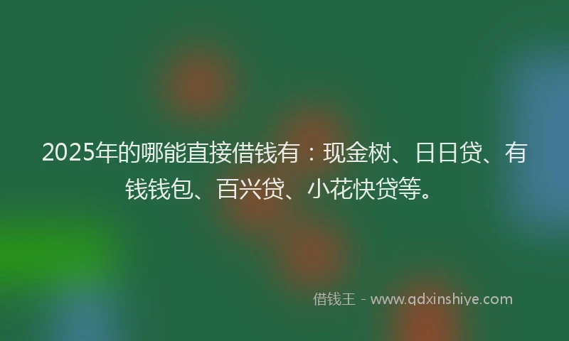 2025年的哪能直接借钱有：现金树、日日贷、有钱钱包、百兴贷、小花快贷等。