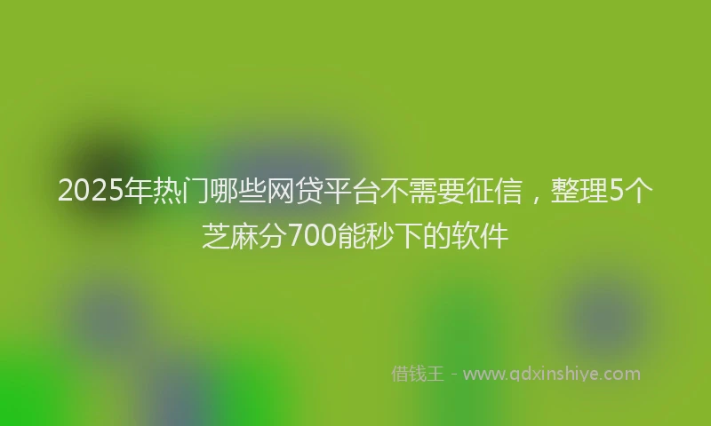 2025年热门哪些网贷平台不需要征信，整理5个芝麻分700能秒下的软件