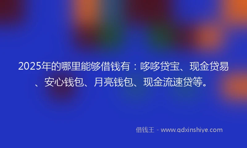 2025年的哪里能够借钱有：哆哆贷宝、现金贷易、安心钱包、月亮钱包、现金流速贷等。