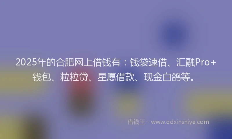 2025年的合肥网上借钱有：钱袋速借、汇融Pro+钱包、粒粒贷、星愿借款、现金白鸽等。