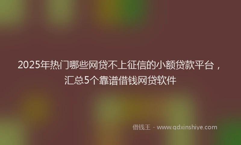 2025年热门哪些网贷不上征信的小额贷款平台，汇总5个靠谱借钱网贷软件