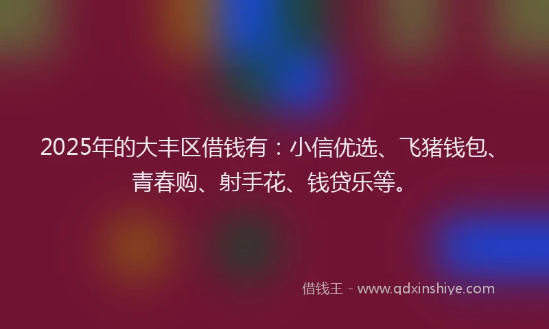 2025年的大丰区借钱有：小信优选、飞猪钱包、青春购、射手花、钱贷乐等。