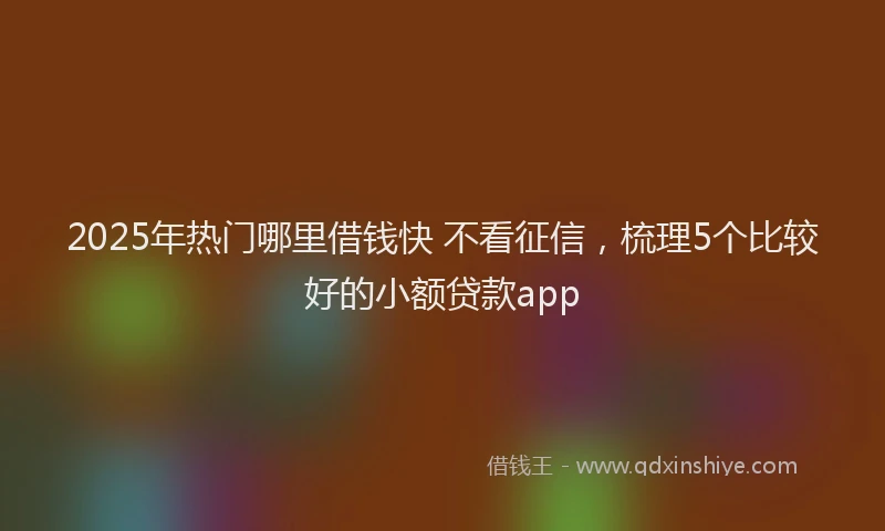 2025年热门哪里借钱快 不看征信，梳理5个比较好的小额贷款app