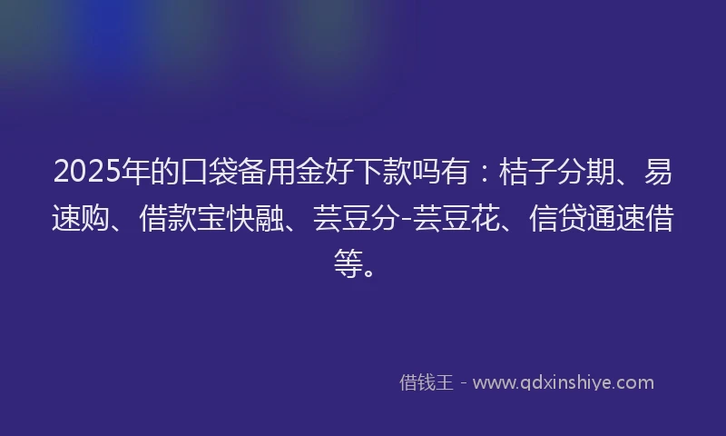 2025年的口袋备用金好下款吗有：桔子分期、易速购、借款宝快融、芸豆分-芸豆花、信贷通速借等。