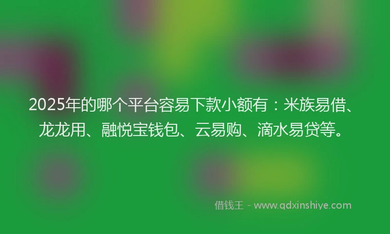 2025年的哪个平台容易下款小额有：米族易借、龙龙用、融悦宝钱包、云易购、滴水易贷等。