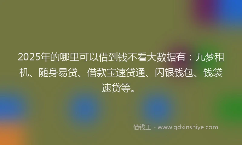 2025年的哪里可以借到钱不看大数据有：九梦租机、随身易贷、借款宝速贷通、闪银钱包、钱袋速贷等。
