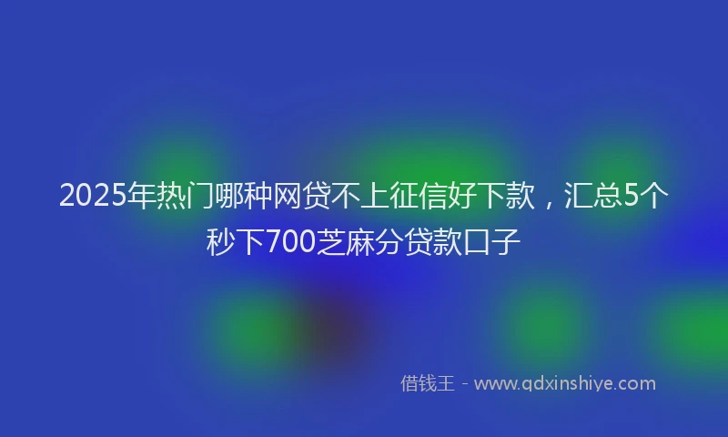 2025年热门哪种网贷不上征信好下款，汇总5个秒下700芝麻分贷款口子
