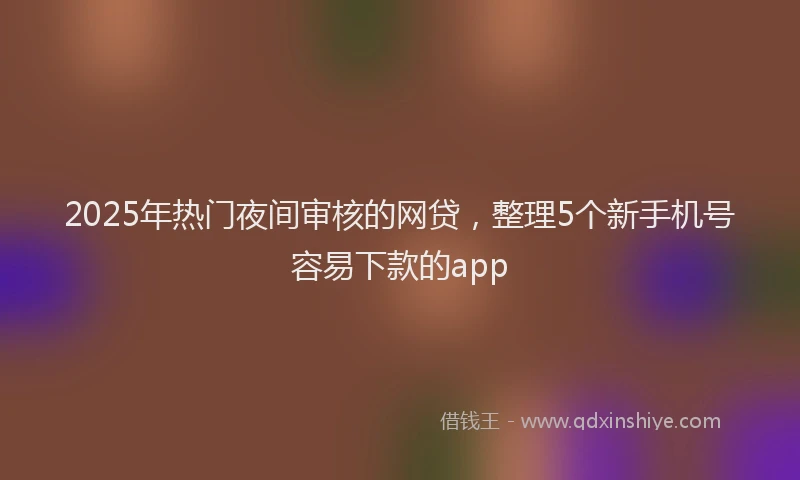 2025年热门夜间审核的网贷，整理5个新手机号容易下款的app