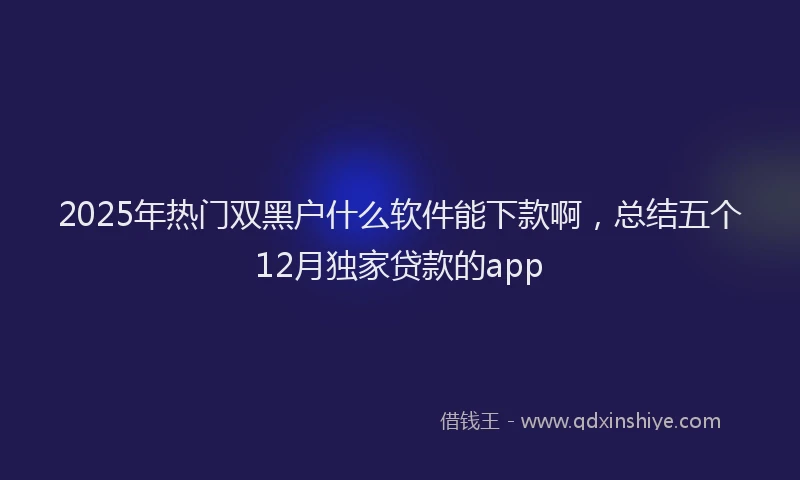 2025年热门双黑户什么软件能下款啊，总结五个12月独家贷款的app