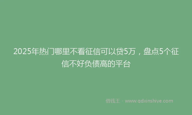 2025年热门哪里不看征信可以贷5万，盘点5个征信不好负债高的平台