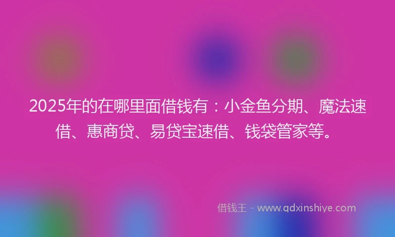2025年的在哪里面借钱有：小金鱼分期、魔法速借、惠商贷、易贷宝速借、钱袋管家等。