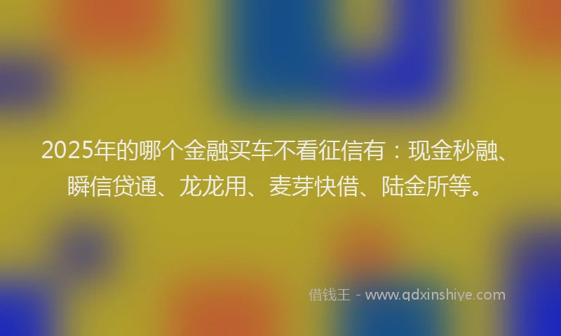 2025年的哪个金融买车不看征信有：现金秒融、瞬信贷通、龙龙用、麦芽快借、陆金所等。