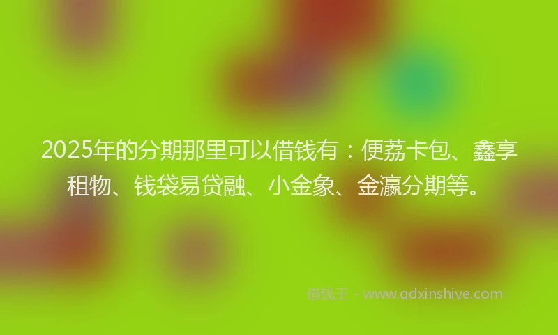 2025年的分期那里可以借钱有：便荔卡包、鑫享租物、钱袋易贷融、小金象、金瀛分期等。