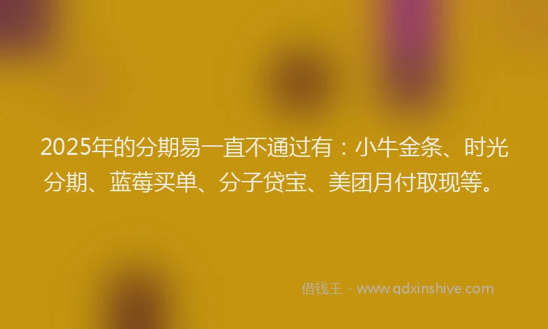 2025年的分期易一直不通过有：小牛金条、时光分期、蓝莓买单、分子贷宝、美团月付取现等。
