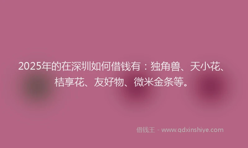 2025年的在深圳如何借钱有：独角兽、天小花、桔享花、友好物、微米金条等。