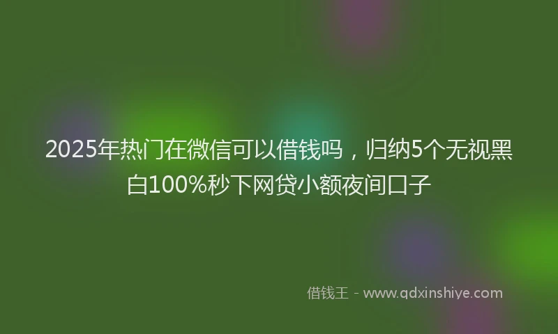 2025年热门在微信可以借钱吗，归纳5个无视黑白100%秒下网贷小额夜间口子