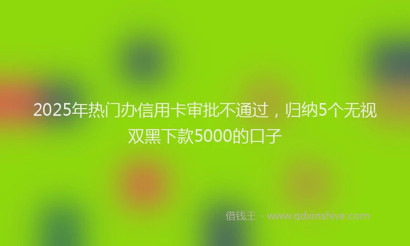 2025年热门办信用卡审批不通过，归纳5个无视双黑下款5000的口子