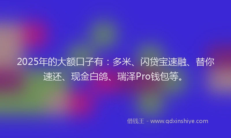 2025年的大额口子有：多米、闪贷宝速融、替你速还、现金白鸽、瑞泽Pro钱包等。