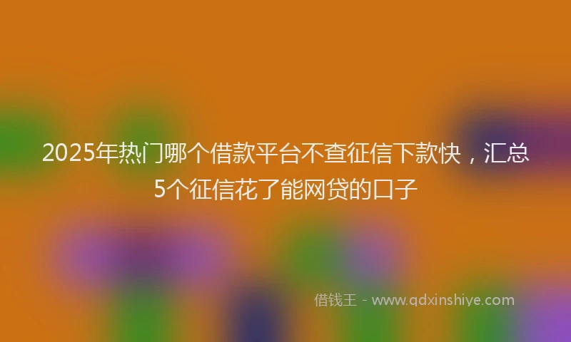 2025年热门哪个借款平台不查征信下款快，汇总5个征信花了能网贷的口子