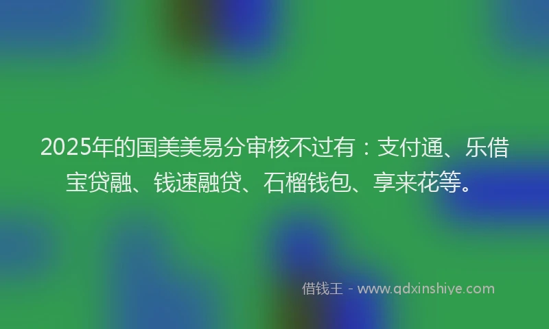 2025年的国美美易分审核不过有：支付通、乐借宝贷融、钱速融贷、石榴钱包、享来花等。