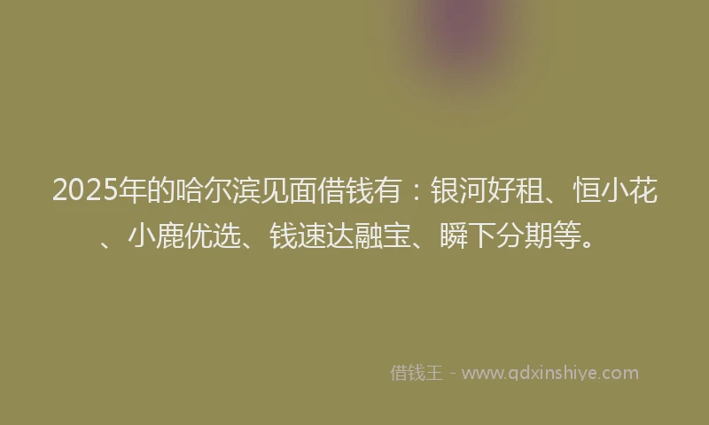 2025年的哈尔滨见面借钱有：银河好租、恒小花、小鹿优选、钱速达融宝、瞬下分期等。