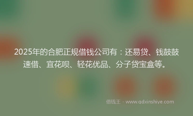 2025年的合肥正规借钱公司有：还易贷、钱鼓鼓速借、宜花呗、轻花优品、分子贷宝盒等。