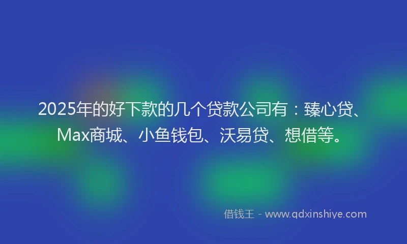 2025年的好下款的几个贷款公司有：臻心贷、Max商城、小鱼钱包、沃易贷、想借等。