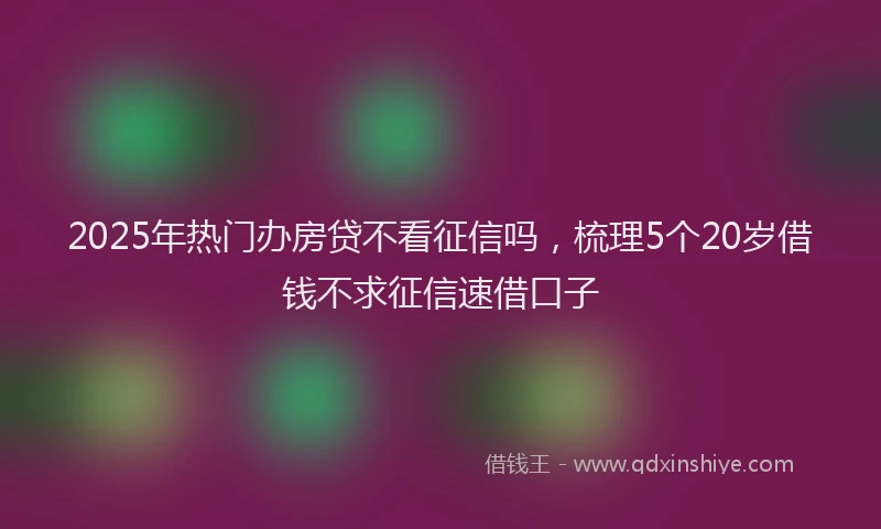 2025年热门办房贷不看征信吗，梳理5个20岁借钱不求征信速借口子