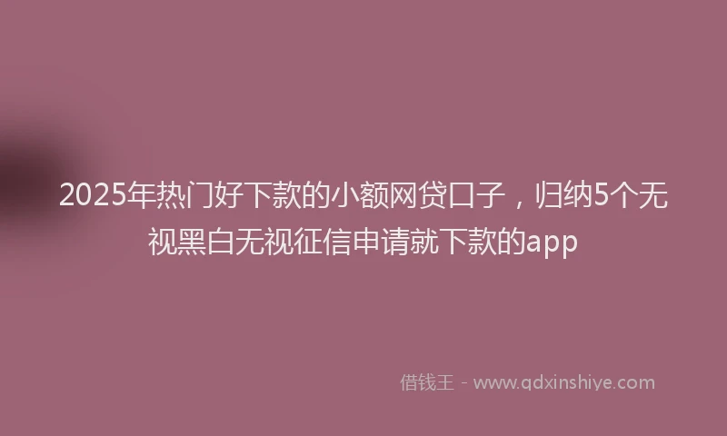 2025年热门好下款的小额网贷口子，归纳5个无视黑白无视征信申请就下款的app