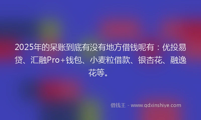 2025年的呆账到底有没有地方借钱呢有：优投易贷、汇融Pro+钱包、小麦粒借款、银杏花、融逸花等。