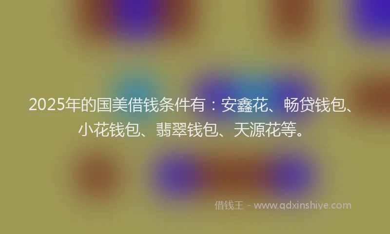 2025年的国美借钱条件有：安鑫花、畅贷钱包、小花钱包、翡翠钱包、天源花等。