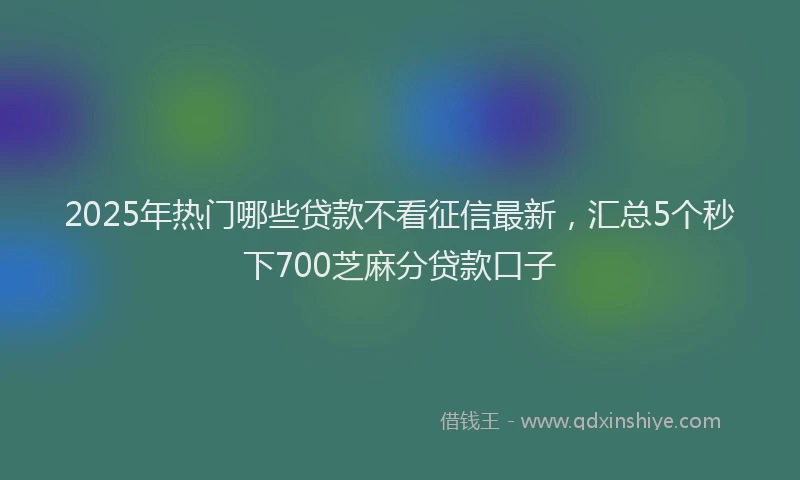 2025年热门哪些贷款不看征信最新，汇总5个秒下700芝麻分贷款口子