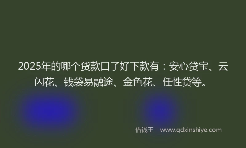 2025年的哪个货款口子好下款有：安心贷宝、云闪花、钱袋易融途、金色花、任性贷等。