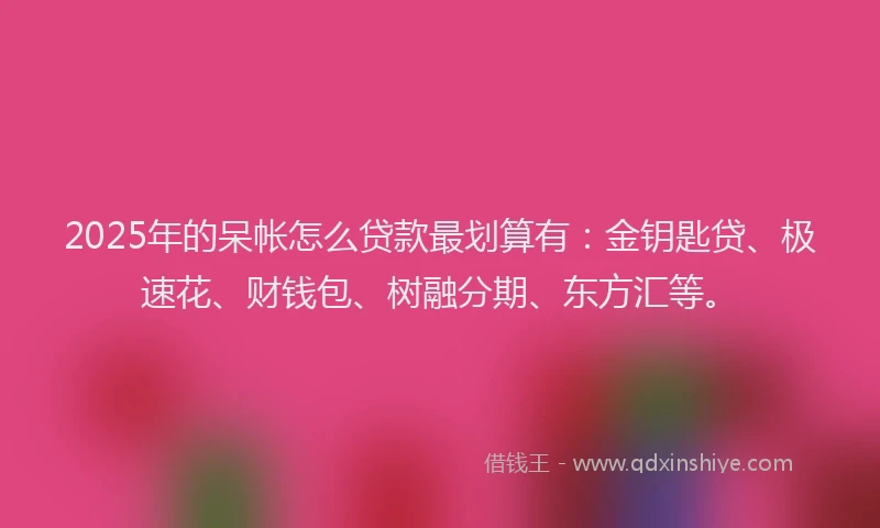 2025年的呆帐怎么贷款最划算有：金钥匙贷、极速花、财钱包、树融分期、东方汇等。