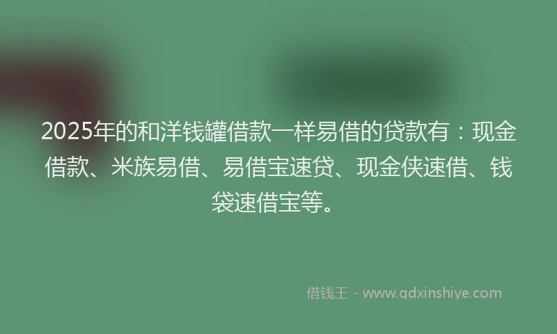 2025年的和洋钱罐借款一样易借的贷款有：现金借款、米族易借、易借宝速贷、现金侠速借、钱袋速借宝等。