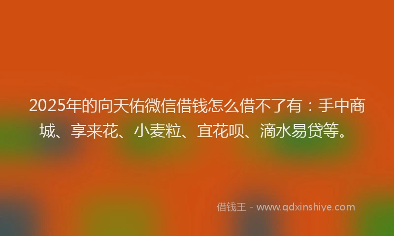 2025年的向天佑微信借钱怎么借不了有：手中商城、享来花、小麦粒、宜花呗、滴水易贷等。