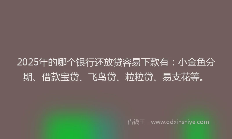 2025年的哪个银行还放贷容易下款有：小金鱼分期、借款宝贷、飞鸟贷、粒粒贷、易支花等。