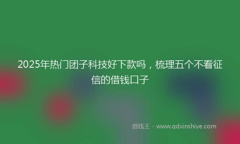 2025年热门团子科技好下款吗，梳理五个不看征信的借钱口子
