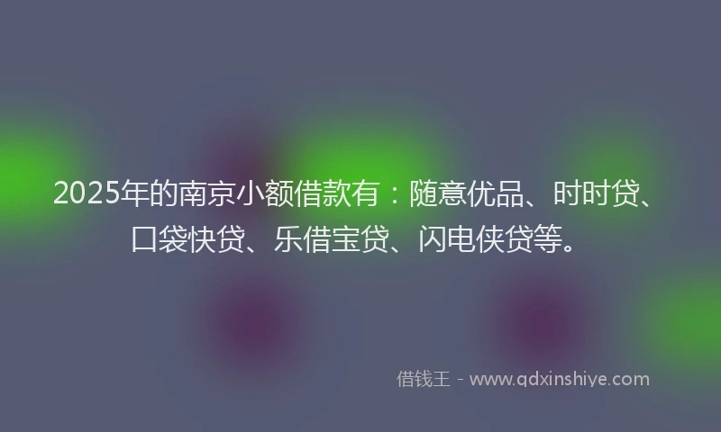 2025年的南京小额借款有：随意优品、时时贷、口袋快贷、乐借宝贷、闪电侠贷等。