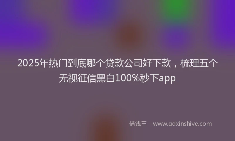 2025年热门到底哪个贷款公司好下款，梳理五个无视征信黑白100%秒下app