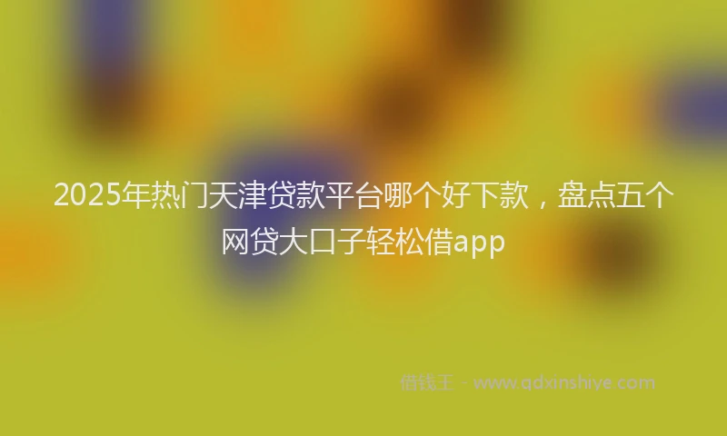2025年热门天津贷款平台哪个好下款，盘点五个网贷大口子轻松借app